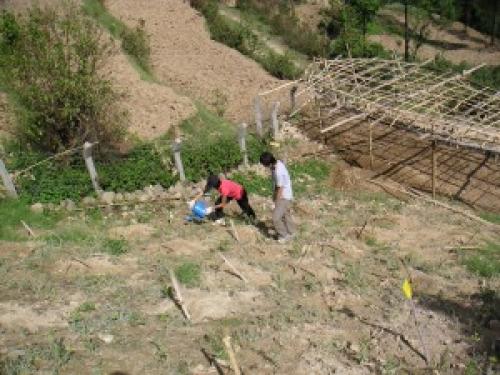 Food Security